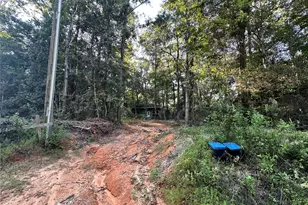 193 Bonnie Maude Blvd, Livingston, TX 77351 - Photo 32