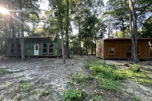 193 Bonnie Maude Blvd, Livingston, TX 77351 - Photo 1