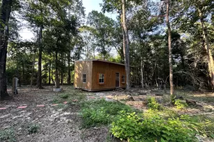 193 Bonnie Maude Blvd, Livingston, TX 77351 - Photo 8