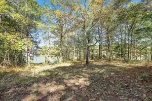 14948 Colt Ln Lot 14-15, Willis, TX 77378 - Photo 4