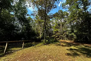 539 Aa Loop, Livingston, TX 77351 - Photo 28