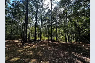 539 Aa Loop, Livingston, TX 77351 - Photo 34
