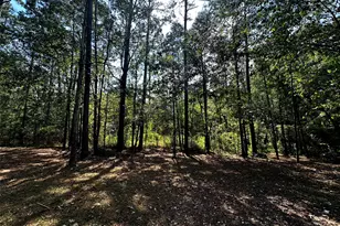 539 Aa Loop, Livingston, TX 77351 - Photo 34