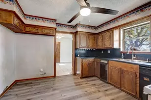 224 County Rd 4674, Etoile, TX 75944 - Photo 14