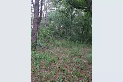 15778 Hayden Road, Conroe, TX 77306 - Photo 8