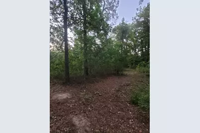 15778 Hayden Road, Conroe, TX 77306 - Photo 2
