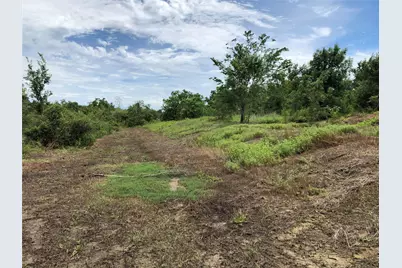 001 Steele Road, Highlands, TX 77562 - Photo 16