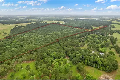Tbd Cr446, Navasota, Tx 77868, Navasota, TX 77868 - Photo 12