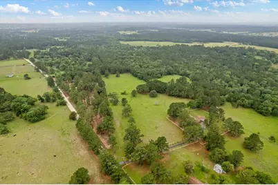 Tbd Cr446, Navasota, Tx 77868, Navasota, TX 77868 - Photo 2