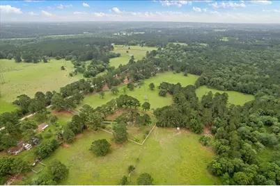Tbd Cr446, Navasota, Tx 77868, Navasota, TX 77868 - Photo 4