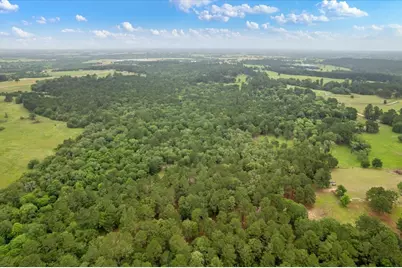 Tbd Cr446, Navasota, Tx 77868, Navasota, TX 77868 - Photo 10