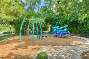 9622 Blue Water Hyssop, Conroe, TX 77385 - Photo 44