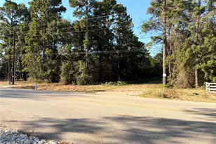 18750 Keenan Cut Off Rd, Montgomery, TX 77316 - Photo 6