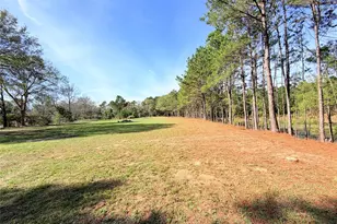 18750 Keenan Cut Off Rd, Montgomery, TX 77316 - Photo 2