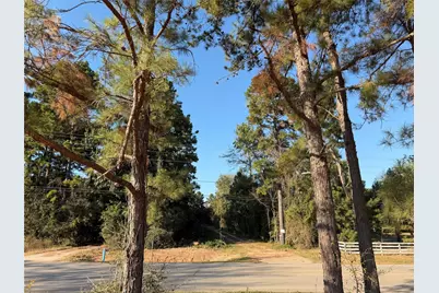 18750 Keenan Cutoff Rd, Montgomery, TX 77316 - Photo 28