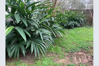 22720 Hudson Lane NE, New Caney, TX 77357 - Photo 24