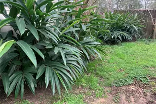 22720 Hudson Ln NE, New Caney, TX 77357 - Photo 24