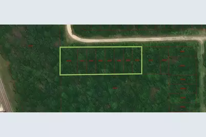 100 Wood Forest, Livingston, TX 77351 - Photo 2