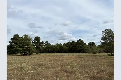 33450 Howell Road, Waller, TX 77484 - Photo 12