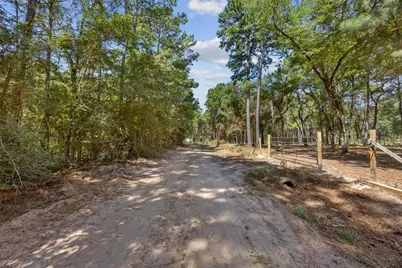 0 Mitchell Lane, Plantersville, TX 77363 - Photo 8