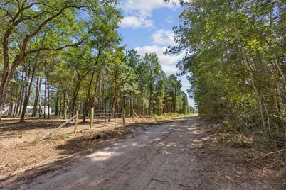 0 Mitchell Lane, Plantersville, TX 77363 - Photo 10
