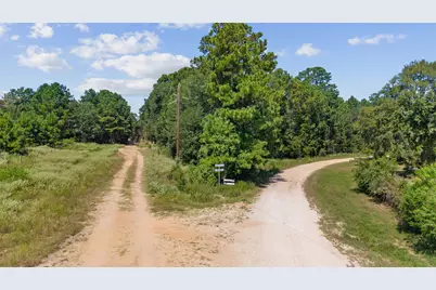 0 Mitchell Lane, Plantersville, TX 77363 - Photo 18