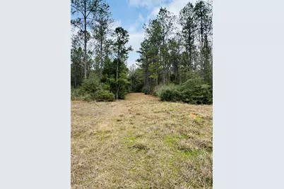 2071 Camp Seale Road, Livingston, TX 77351 - Photo 22