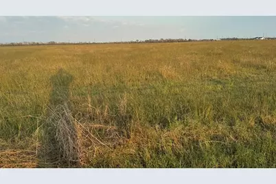 25 Acres County Road 45, Angleton, TX 77515 - Photo 8