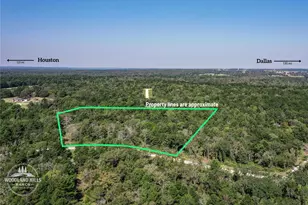 10 Acres Lot 81 Woodland Hills Ranch, Centerville, TX 75833 - Photo 1