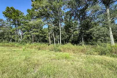 10 Acres Lot 81 Woodland Hills Ranch, Centerville, TX 75833 - Photo 6