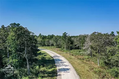 10 Acres Lot 81 Woodland Hills Ranch, Centerville, TX 75833 - Photo 2