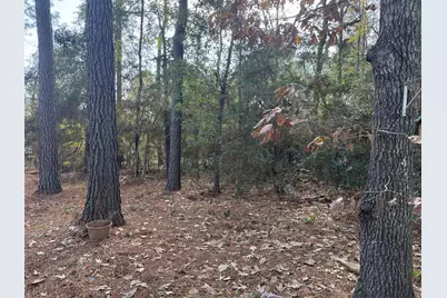 8249 Soapberry Lane, Plantersville, TX 77363 - Photo 6