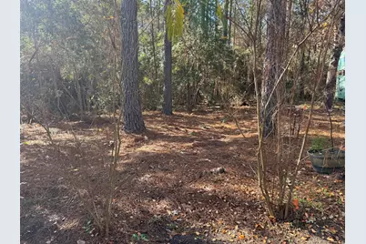 8249 Soapberry Lane, Plantersville, TX 77363 - Photo 12