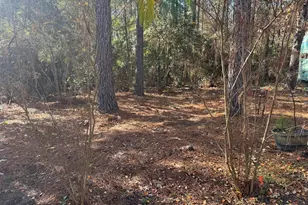 8249 Soapberry Ln, Plantersville, TX 77363 - Photo 12