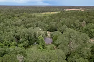 347 Shelby, Livingston, TX 77351 - Photo 48