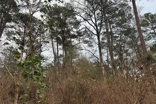 13475 White Oak Dr, Plantersville, TX 77363 - Photo 1