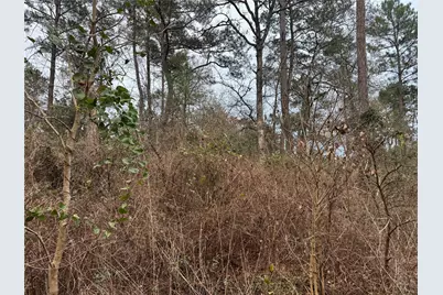 13475 White Oak Drive, Plantersville, TX 77363 - Photo 12