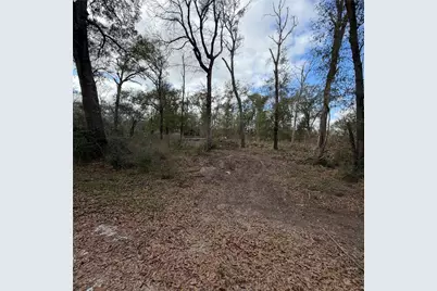 25028 Leitrim Street, Hempstead, TX 77445 - Photo 1