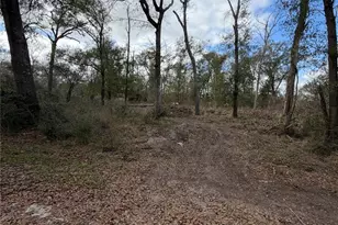 25028 Leitrim St, Hempstead, TX 77445 - Photo 1