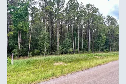 1884 Road 66116, Dayton, TX 77535 - Photo 4