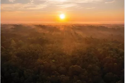 11849 Moss Grove Court, Willis, TX 77378 - Photo 26