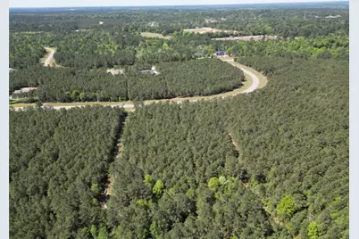 11849 Moss Grove Court, Willis, TX 77378 - Photo 22