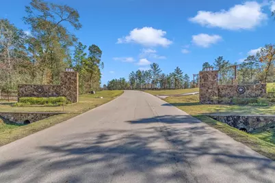 11849 Moss Grove Court, Willis, TX 77378 - Photo 8