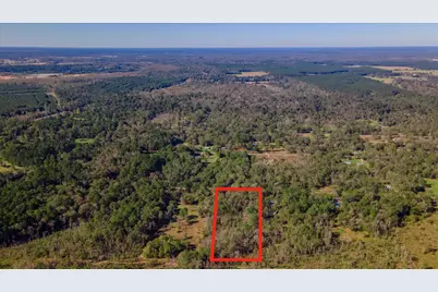 1234 County Road 2145, Cleveland, TX 77327 - Photo 4