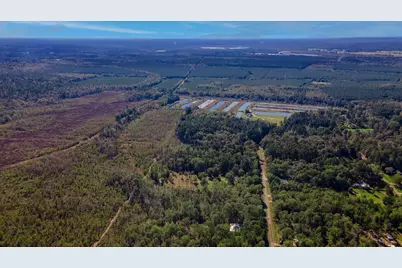 1234 County Road 2145, Cleveland, TX 77327 - Photo 10
