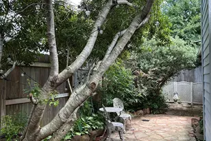 1719 Barleton Way, Houston, TX 77058 - Photo 4