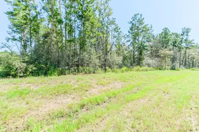 10711 Ruger Road, Willis, TX 77378 - Photo 14