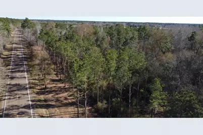 358 Holcombe Road, Groveton, TX 75845 - Photo 12