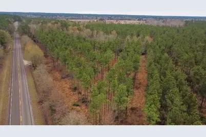 358 Holcombe Road, Groveton, TX 75845 - Photo 14