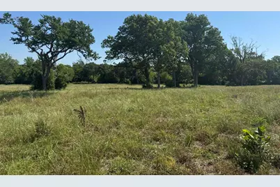 Tract #10 Cr 305 Road, Navasota, TX 77868 - Photo 22